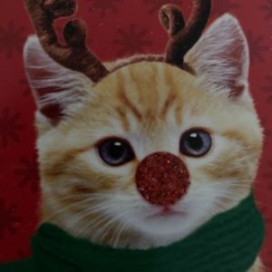 Meet your Posher, Christne